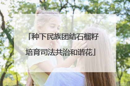 种下民族团结石榴籽 培育司法共治和谐花