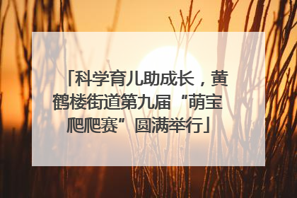 科学育儿助成长，黄鹤楼街道第九届“萌宝爬爬赛”圆满举行