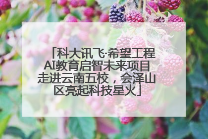 科大讯飞·希望工程AI教育启智未来项目走进云南五校，会泽山区亮起科技星火