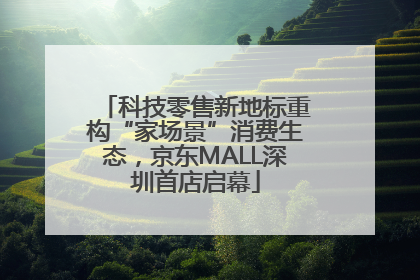 科技零售新地标重构“家场景”消费生态，京东MALL深圳首店启幕