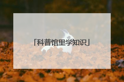 科普馆里学知识