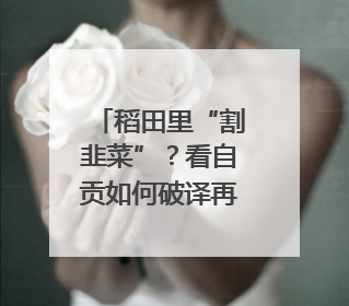 稻田里“割韭菜”？看自贡如何破译再生稻气象密码｜绿镜头·发现中国
