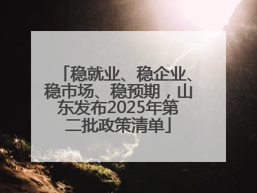 稳就业、稳企业、稳市场、稳预期，山东发布2025年第二批政策清单