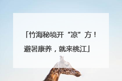 竹海秘境开“凉”方！避暑康养，就来桃江