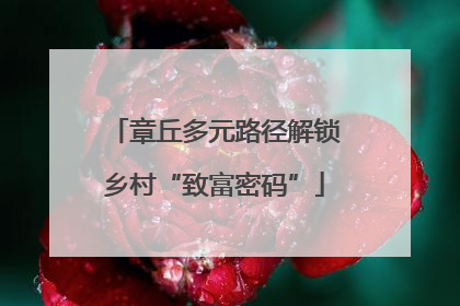 章丘多元路径解锁乡村“致富密码”