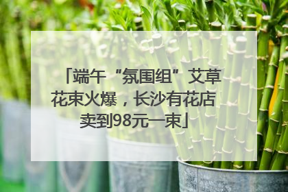 端午“氛围组”艾草花束火爆，长沙有花店卖到98元一束