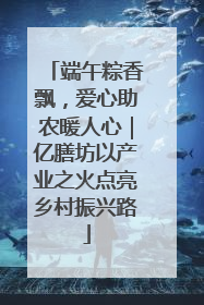 端午粽香飘，爱心助农暖人心｜亿膳坊以产业之火点亮乡村振兴路