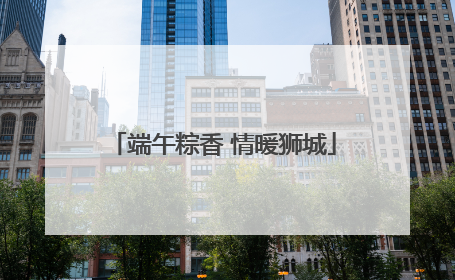 端午粽香 情暖狮城