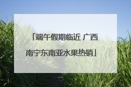 端午假期临近 广西南宁东南亚水果热销