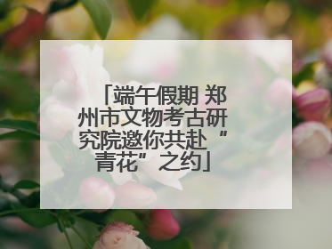 端午假期 郑州市文物考古研究院邀你共赴“青花”之约