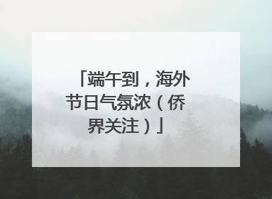端午到，海外节日气氛浓（侨界关注）