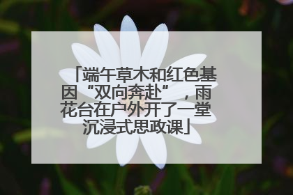 端午草木和红色基因“双向奔赴”，雨花台在户外开了一堂沉浸式思政课