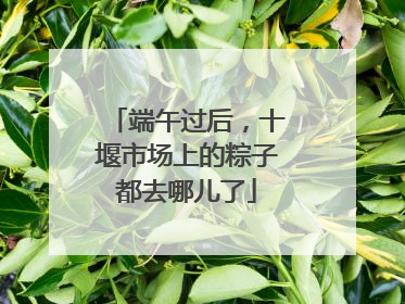 端午过后，十堰市场上的粽子都去哪儿了