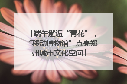端午邂逅“青花”，“移动博物馆”点亮郑州城市文化空间