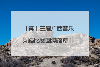 第十三届广西音乐舞蹈比赛圆满落幕