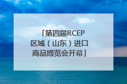 第四届RCEP区域（山东）进口商品博览会开幕