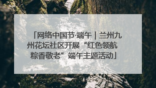网络中国节·端午｜兰州九州花坛社区开展“红色领航 粽香敬老”端午主题活动