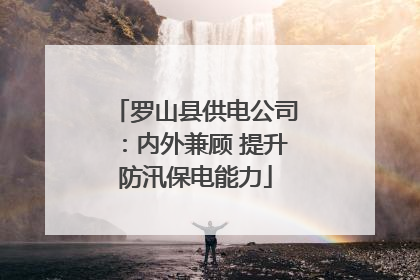 罗山县供电公司：内外兼顾 提升防汛保电能力