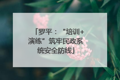 罗平：“培训+演练”筑牢民政系统安全防线