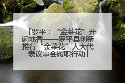 罗平：“金菜花”开遍地香——罗平县创新推行“金菜花”人大代表议事会履职行动