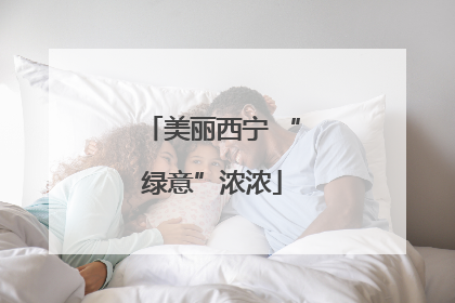 美丽西宁 “绿意”浓浓