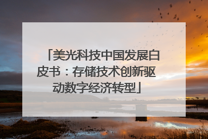 美光科技中国发展白皮书：存储技术创新驱动数字经济转型