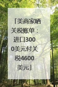 美商家晒关税账单：进口3000美元付关税4600美元
