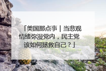 美国那点事｜当悲观情绪弥漫党内，民主党该如何拯救自己？