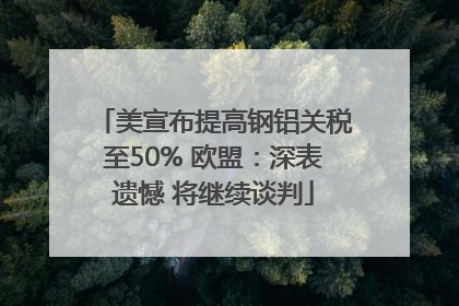 美宣布提高钢铝关税至50% 欧盟：深表遗憾 将继续谈判