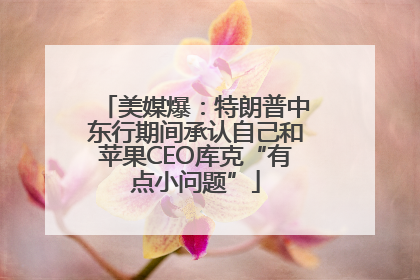 美媒爆：特朗普中东行期间承认自己和苹果CEO库克“有点小问题”