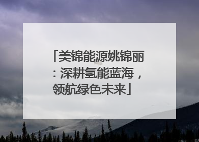 美锦能源姚锦丽：深耕氢能蓝海，领航绿色未来
