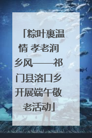 粽叶裹温情 孝老润乡风——祁门县溶口乡开展端午敬老活动