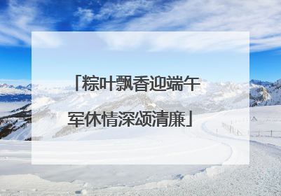 粽叶飘香迎端午 军休情深颂清廉
