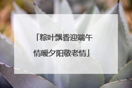 粽叶飘香迎端午 情暖夕阳敬老情