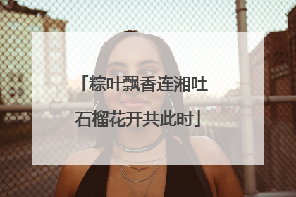 粽叶飘香连湘吐 石榴花开共此时