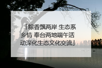 粽香飘两岸 生态系乡情 奉台两地端午活动深化生态文化交流