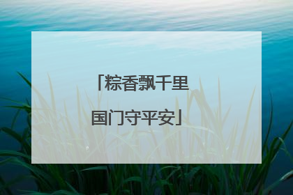 粽香飘千里 国门守平安