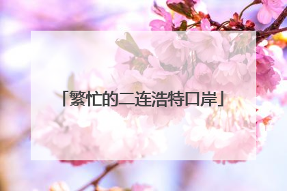 繁忙的二连浩特口岸