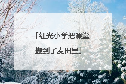 红光小学把课堂搬到了麦田里