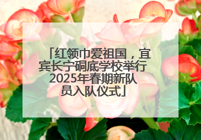 红领巾爱祖国，宜宾长宁硐底学校举行2025年春期新队员入队仪式