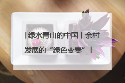 绿水青山的中国丨余村发展的“绿色变奏”