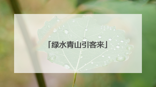 绿水青山引客来