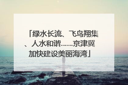 绿水长流、飞鸟翔集、人水和谐……京津冀加快建设美丽海湾