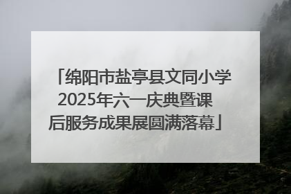 绵阳市盐亭县文同小学2025年六一庆典暨课后服务成果展圆满落幕