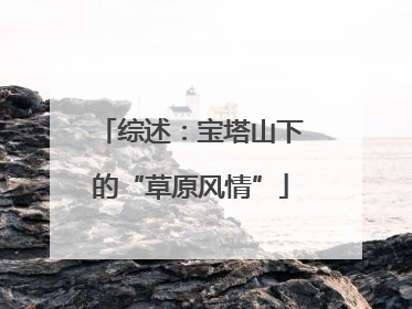 综述：宝塔山下的“草原风情”