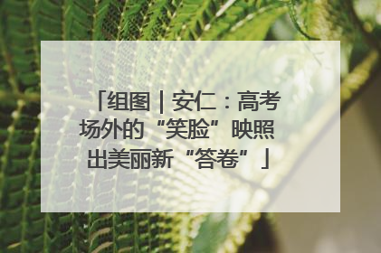 组图｜安仁：高考场外的“笑脸”映照出美丽新“答卷”