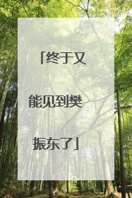 终于又能见到樊振东了