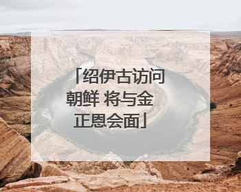绍伊古访问朝鲜 将与金正恩会面