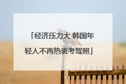 经济压力大 韩国年轻人不再热衷考驾照