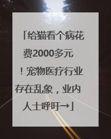 给猫看个病花费2000多元！宠物医疗行业存在乱象，业内人士呼吁→